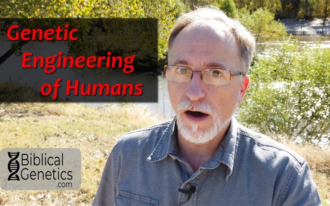 Genetic Engineering of Humans