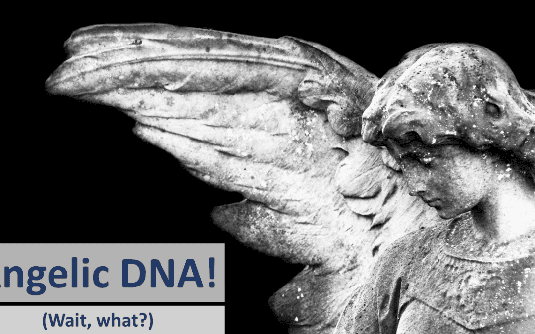 Angelic DNA! Wait, what?