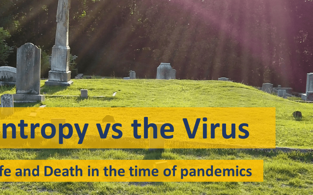 Pandemics vs Entropy