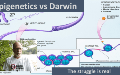 Epigenetics vs Darwin