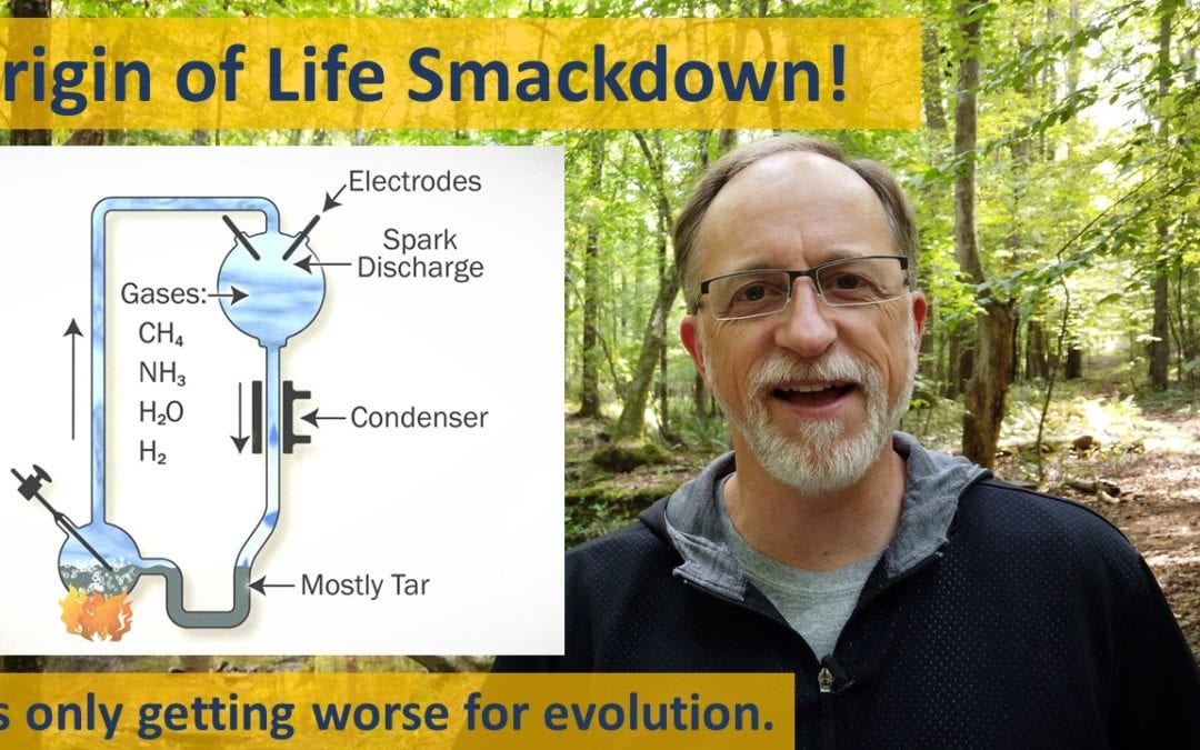 Origin of Life Smackdown