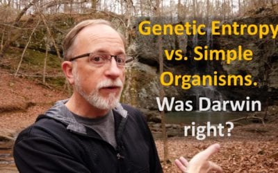 Genetic Entropy vs Simple Organisms. Was Darwin right?