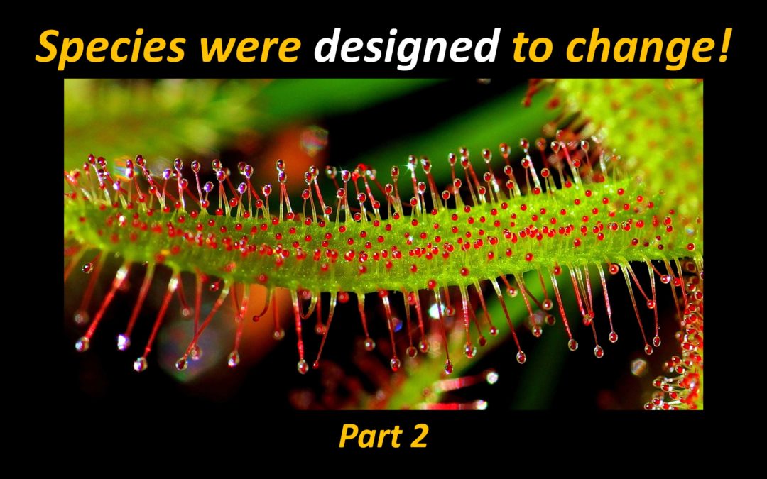 Speciation and the Limits of Change