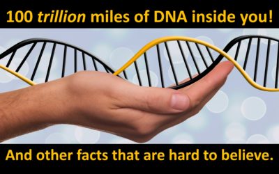 The Improbable DNA Corkscrew