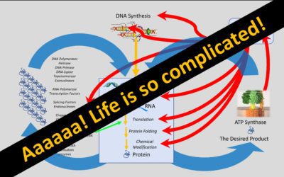 ATP Drives Its Own Creation: the spaghettification of irreducible complexity