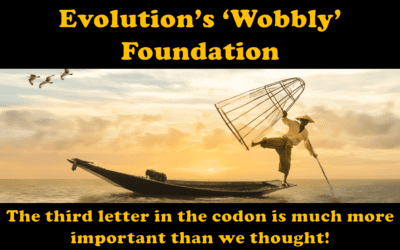 Evolution’s Wobbly Foundation