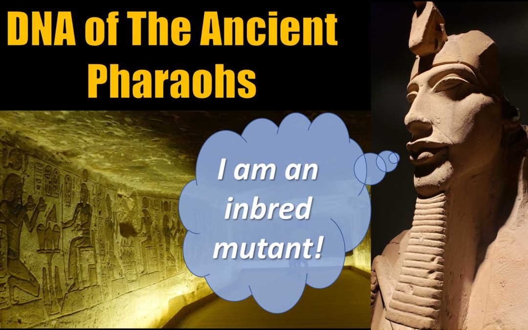 DNA of the Ancient Pharaohs