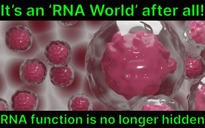 It’s an RNA world after all