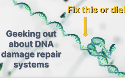 Geeking out about DNA damage repair