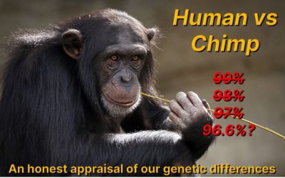 Human vs Chimp: an honest evaluation of our genetic differences