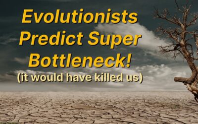 Evolutionists predict super bottleneck (it would have killed us)