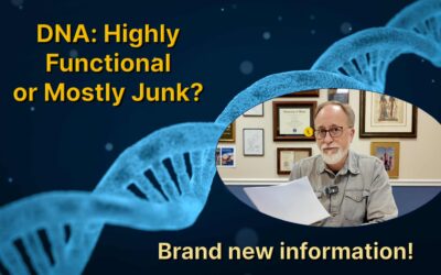 DNA – highly functional or mostly junk? Part 1