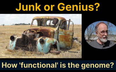 Junk or genius? How functional is the human genome? Part 2