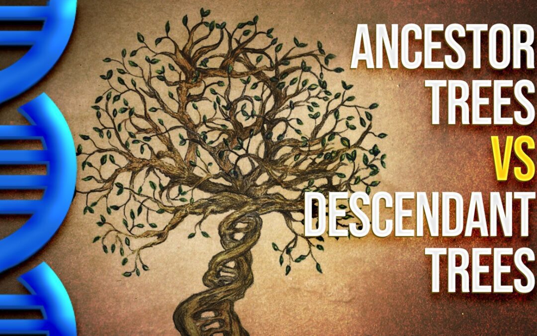 Ancestor vs descendant trees