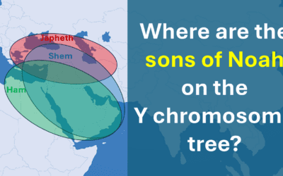 Placing Noah’s sons on the Y chromosome tree